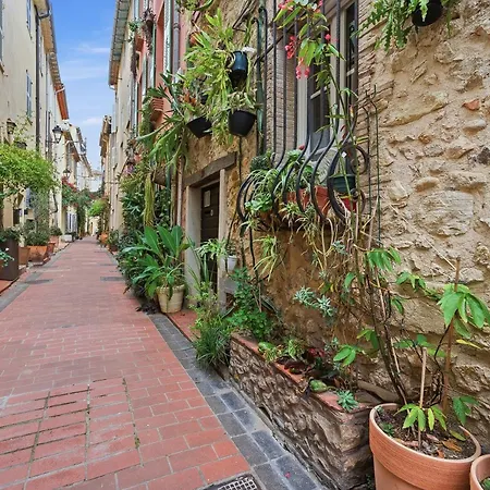 Daire L'azur Antibois - Charme Confort Antibes