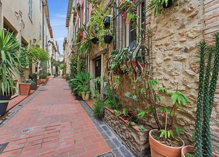 Daire L'azur Antibois - Charme Confort Antibes